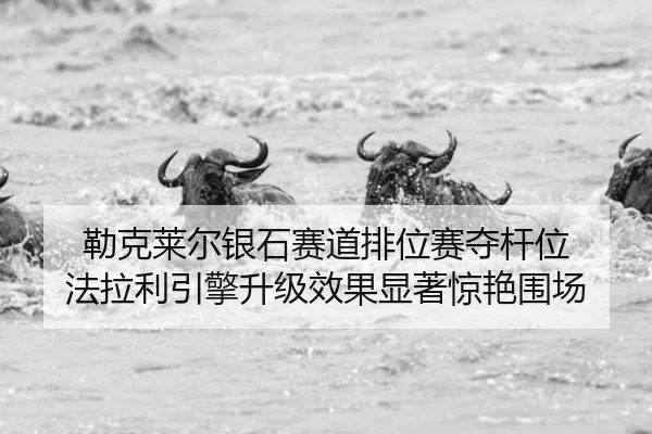 lei-ke-lai-er-yin-shi-sai-dao-pai-wei-sai-duo-gan-wei-fa-la-li-yin-qing-sheng-ji-xiao-guo-xian-zhu-jing-yan-wei-chang-3-558.jpg